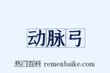动脉弓是什么意思的图片